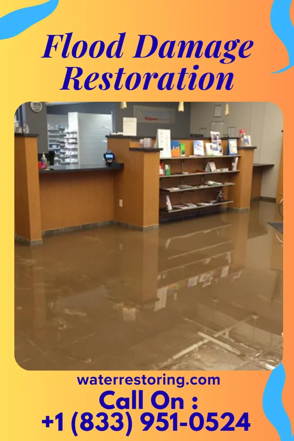 Flood Damage Restoration in Long Hill, CT