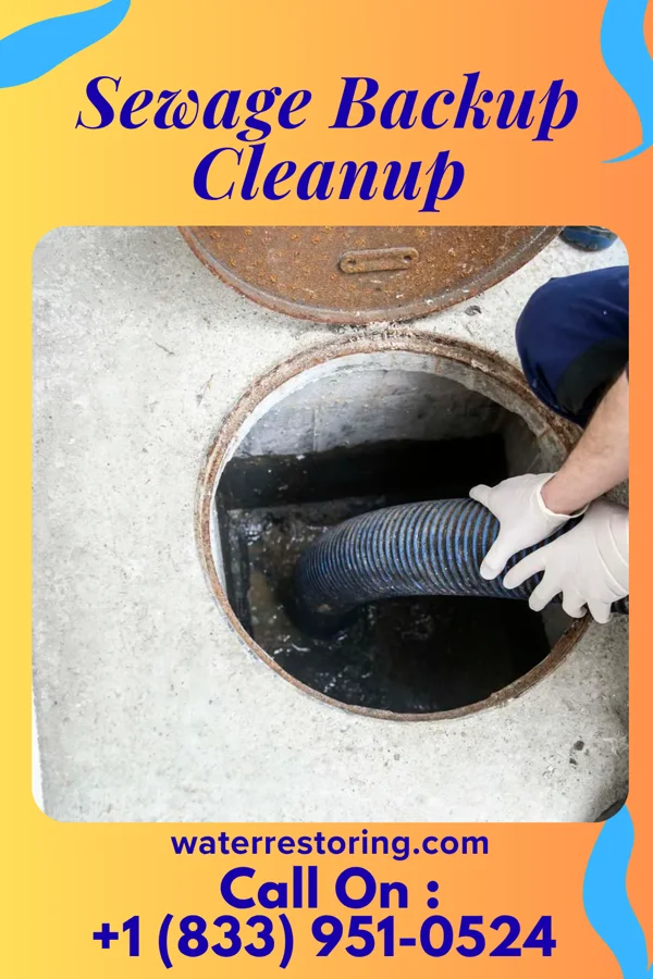Sewage Backup Cleanup in Long Hill, CT