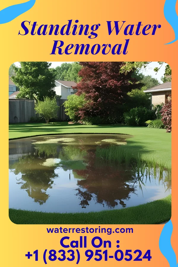 Standing Water Removal in Long Hill, CT